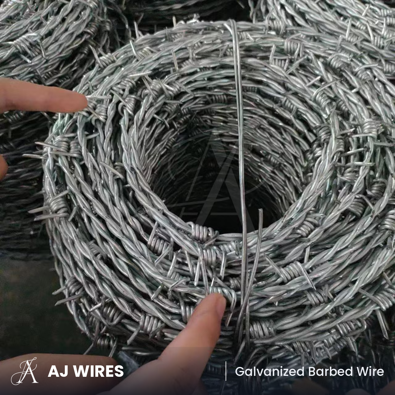Barbed Wire Detail