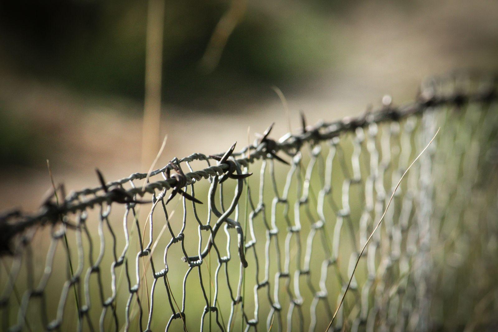Barbed Wire Spools