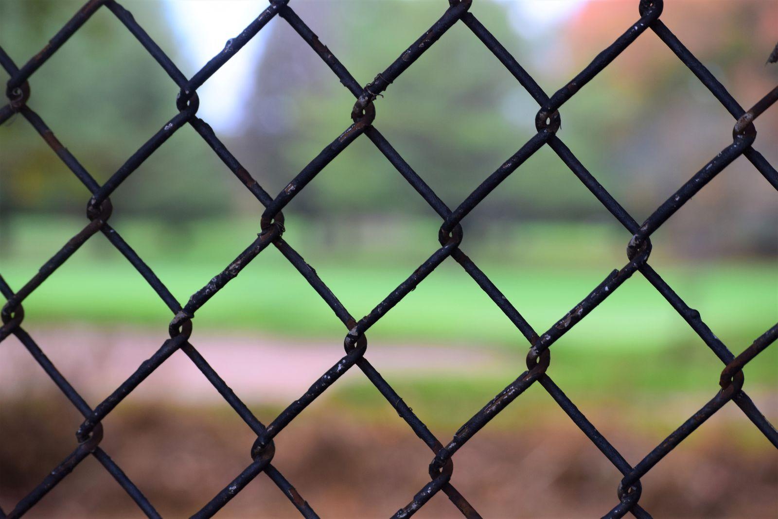 Chain Link Rolls